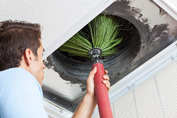 Air Duct Mold Removal in Elberton, GA